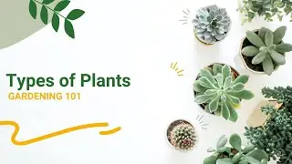 Ep. 01: Understanding Plant Types | Gardening 101 | Learn Gardening the easy way