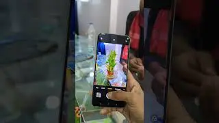 Oppo Reno 12 Pro Camera Test: Is It Worth the Hype? | #shorts