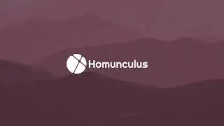Homunculus MEA Software – Real-Time Neural Signal Visualization