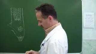 Пластика передней стенки пахового канала по Жирару-Спасокукоцкому
