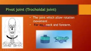 Joints In Human Body & Its Motion | Joints Of Body  | Types Of Joints | मानव शरीर की संधि