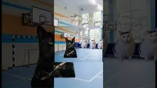Физкультура в любой школе 