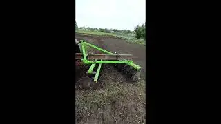 Вот и осень.