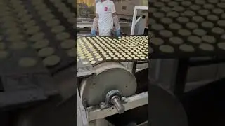 Biscuit production line
