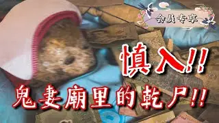慎入！！鬼妻廟里的小孩木乃伊！！｜【會員專享】#31