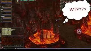 WTF