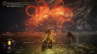 Preparing for the DLC - Beating Malenia and using the unalloyed gold needle - NG+6 Elden Ring