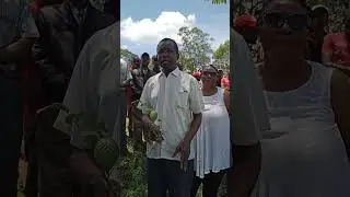 NZOIA SUGAR COMPANY PLANTS 3,000 TREES ON MAZINGIRA DAY.