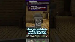 One Piece Minecraft - 