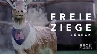 Freie Ziege Lübeck |  Cinematic Trailer | Sony a7iii + DJI Mavic 2 Pro