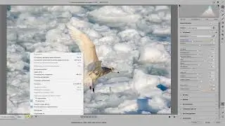 Как не перепутать модуль ACR с фильтром Camera Raw