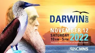 Darwin Day Livestream: Adventures with Psilocybin-Producing Mushrooms