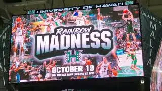 All my B-roll from Rainbow Madness 2024 (10/19/24)