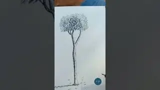 Ink sketch of a young cute tree that i have met today 
