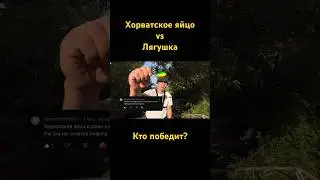 ✅Хорватское яйцо или лягушка? Что лучше?#рыбалка#спиннинг#щука#рекомендации#топ