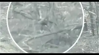 Никогда не сдавайся! Наш боец отбился от вражеского дрона дубиной