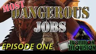 Most Dangerous Jobs! S1E1 - How NOT To Train Your Dragon