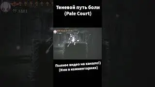 Теневой путь боли Hollow Knight