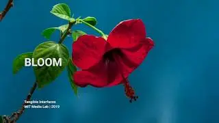 Bloom_MIT