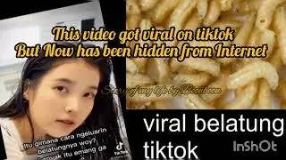 viral belatung viral di tiktok video || begini spoilernya || viral belatung