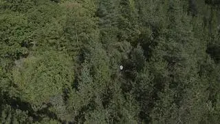 Searching for the road - part 1