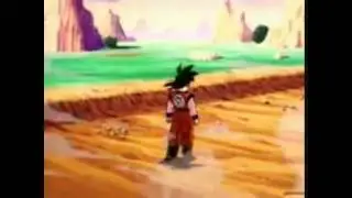You Stupid, Vegeta
