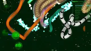 Best Moments of Wormax.io part:34