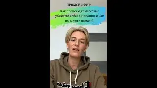 Шокирующая информация об истреблении списанных гальго в Испании!