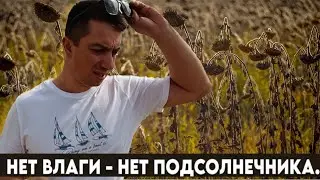 5 в 1: стройка линии; последствие засухи; борьба с ездунами по полям; цены 2024; метеостанция.