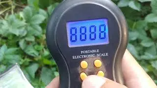 Gauss MD - Перевіряємо вагу