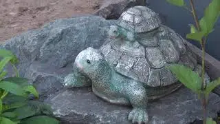 Цветущий сад.В гостях у Бондаревой Л. В.