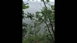 море