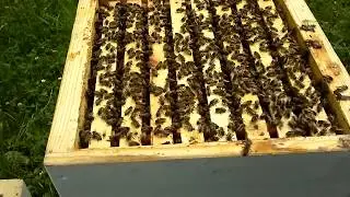 Расширение и работы с МФУ