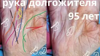 Рука долгожителя 95 лет. Хиромантия