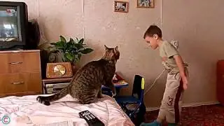 Приколы с детьми  Русские смешные дети и приколы с ними до слез1