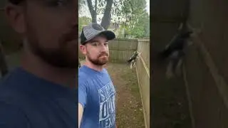 Что там у соседей? 😅😅
