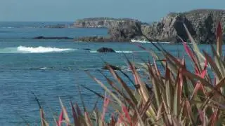 Punta Mita - Live The Dream
