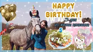 3 дня из жизни конюшни/ Happy Birthday