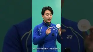 Best shuttlecock to buy?