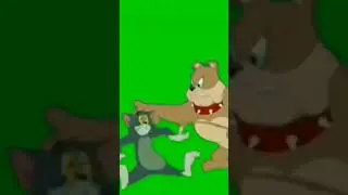 Versi Green Screen Tom And Jerry Funny Videos 2023👌 #shorts #cartoon #funny #trendingshorts