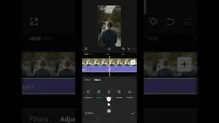 Capcut Color in Effect  #shorts #videoeditor #video #tutorial #capcut