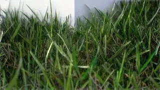 Unreal Engine Grass