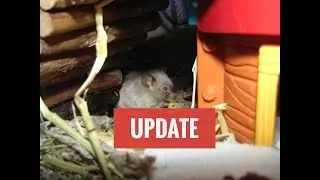Update