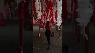 Untold festival vibes #untold2024 #untoldfestival #untold #music #festival #shortvideo #shorts