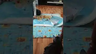 Вагит дома играет