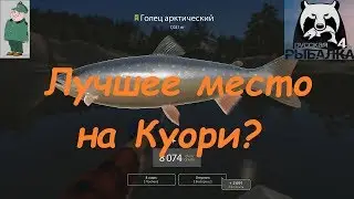 Русская рыбалка 4. Спиннинг на Куори с лодки. Ловим на Северном разломе