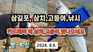 삼길포 삼치,고등어,낚시 카드채비에 삼치,고등어,손맛~
