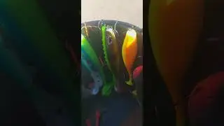 Большие приманки. Щука.