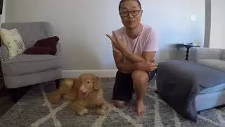 H Chung BBC Search