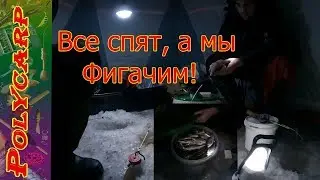 NEW!!! CATCHING RAM AT NIGHT IN WINTER IN A TENT